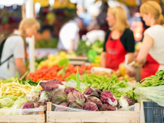 cavaria mercato agricolo