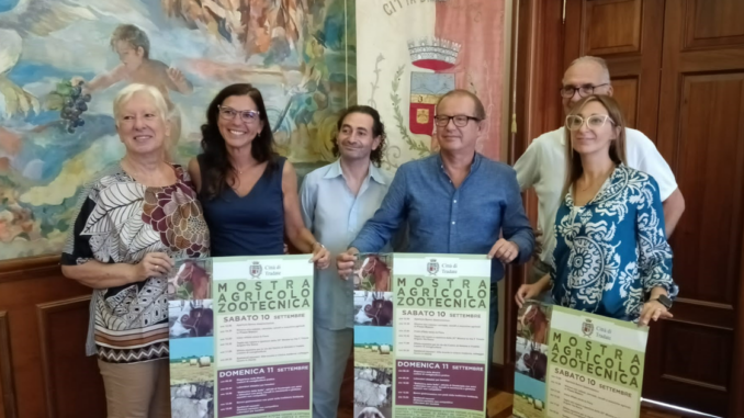 tradate mostra agricolo zootecnica