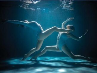 legnano nuoto rarinantes corsi