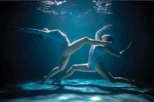 legnano nuoto rarinantes corsi