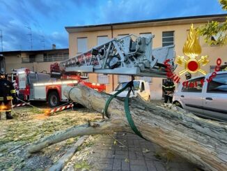 rescaldina vento alberi vigilidelfuoco