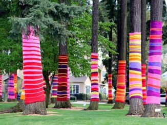 legnano magenta salute mentale yarn bombing