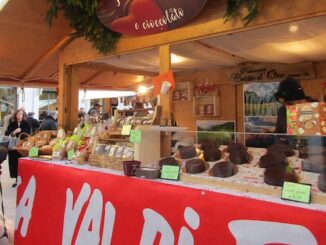 Gallarate trentino in piazza 2022
