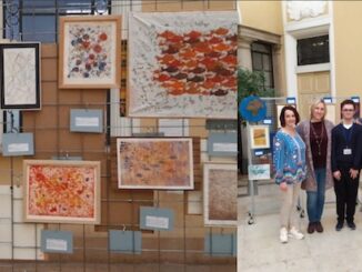 Gallarate mostra cse iris