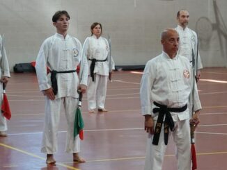 kung fu shaolin fesk