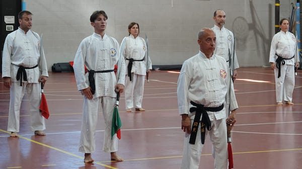 kung fu shaolin fesk