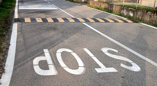 Cardano Colucci italexit dossi