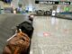 Malpensa inflazione cub trasporti