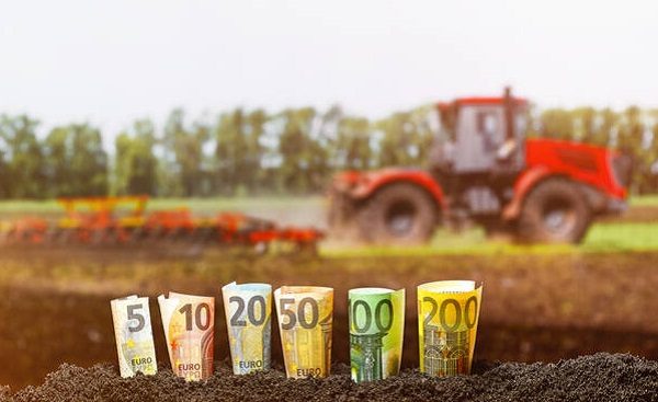 varese agricoltura energia