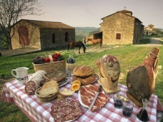 agriturismi coldiretti energia