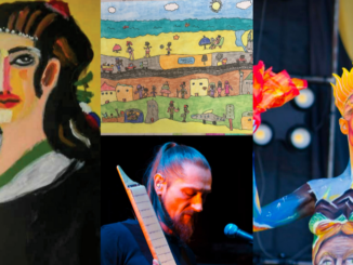 somma castello mostra anffas