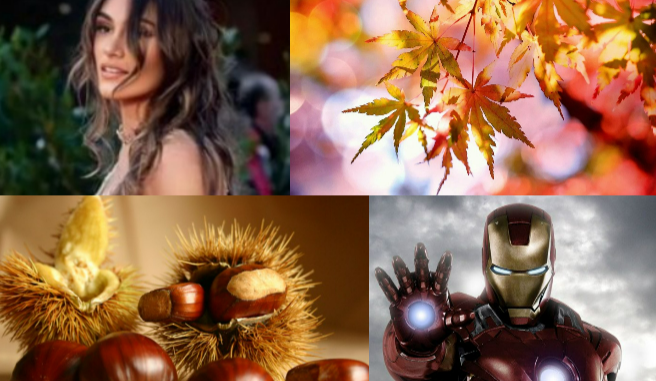 cardano autunno ironman melania