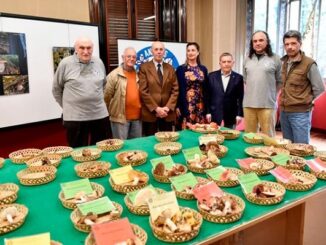 legnano funghi mostra antares