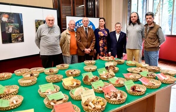 legnano funghi mostra antares