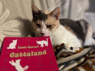 gallarate gattaland libro suraci 01