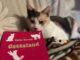 gallarate gattaland libro suraci 01