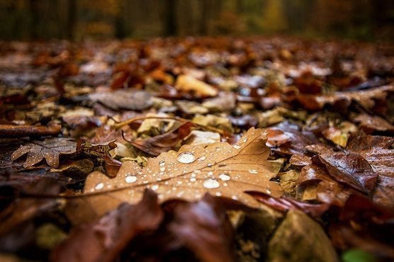 prealpi nubi coperto pioggia