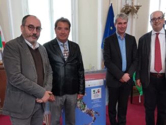 varese tricolore arte 225 01