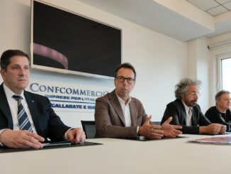 Gallarate commercio natale 2022