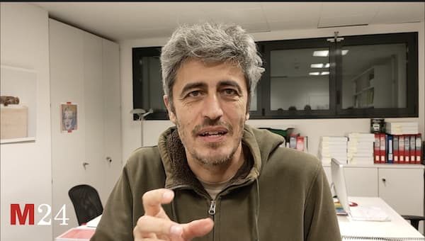 Gallarate pif gallarate maga