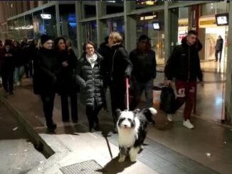 Gallarate stazione donne violenza
