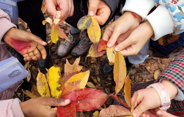 olgiateolona festa albero ragazzi