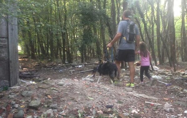 rescaldina boschi pulizia ambiente