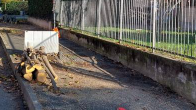cardano alberi abbattuti fabbrica ambiente