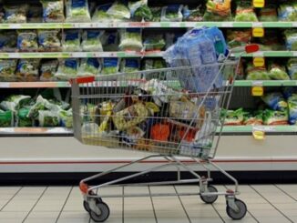 caro vita spesa costi