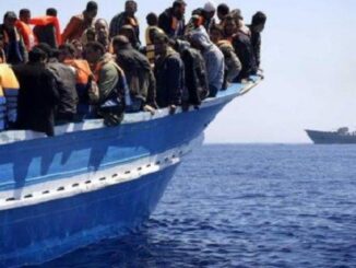 bottini salvini immigrazione