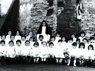 samarate macchi ricci mostra foto