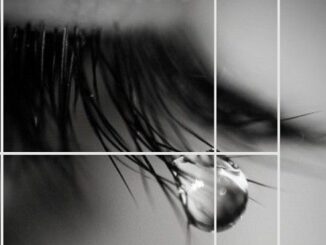 sumirago nastro violenza donne