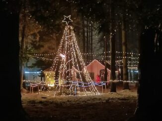 Oggiona pineta villaggio natale