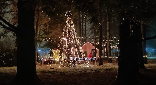 Oggiona pineta villaggio natale