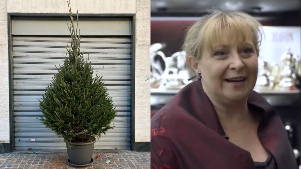 gallarate gioielleria zaro albero