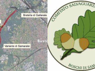 samarate comitato contro bretella