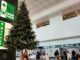 Malpensa natale 2022 passeggeri