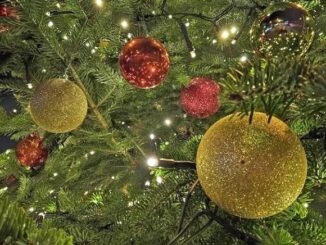 cerromaggiore natale bambini scuola