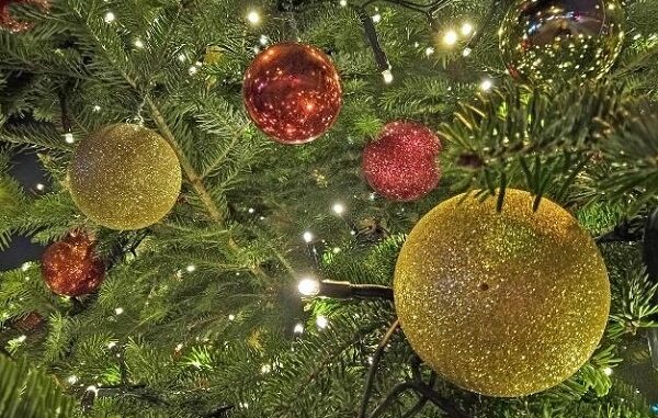 cerromaggiore natale bambini scuola