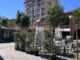Sesto tariffe plateatici bar