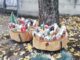 sangiorgiosulegnano decoro aiuole laruotaonlus