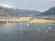 lago maggiore libro uccelli 01