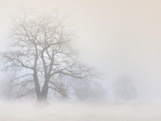 maltempo sereno nebbia pianura 01
