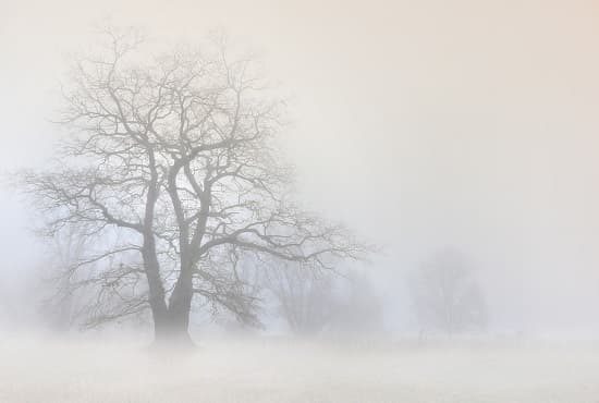 maltempo sereno nebbia pianura 01