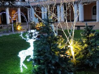 olgiateolona luci natale proloco