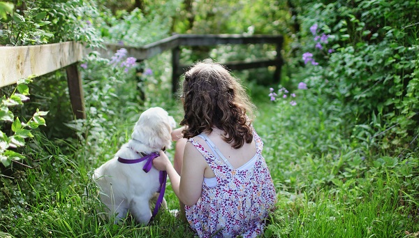 immagine di una bambina e un cane dal retro in un campo