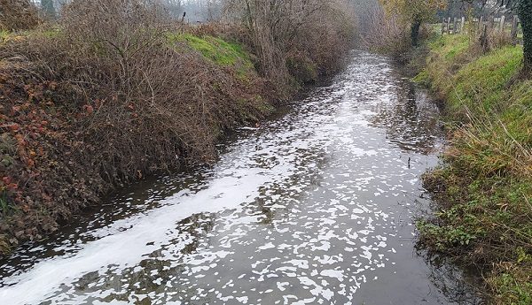 legnano olona sindaci pulizia