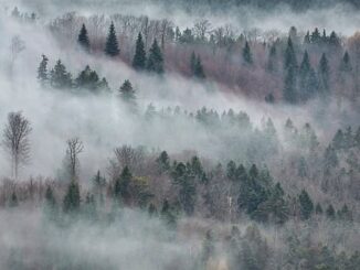 sereno nebbia nubi temperatura