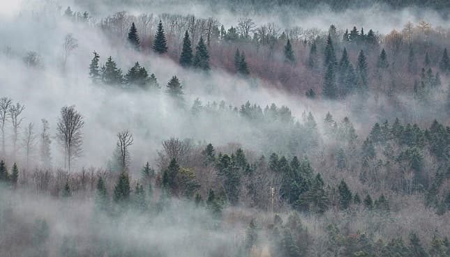 sereno nebbia nubi temperatura