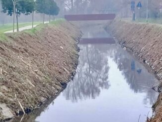legnano sanvittoreolona olona ambiente